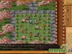 nexus-tk-flowers