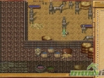 nexus-tk-mmorpg