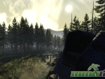 of-kings-and-men-forest2