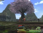 onigiri-tree
