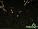 pandum-players-found-in-world