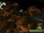 pandum-roaming-open-world