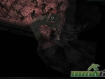 pandum-team-arena