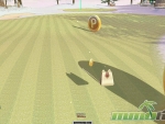 pangya-lawn