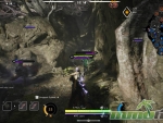 paragon-jungle