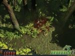 path-of-exile-jungle