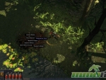 path-of-exile-loot