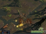 path-of-exile-low-level-gameplay