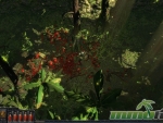 path-of-exile-monkey