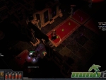 path-of-exile-red-carpet