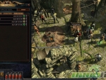 path-of-exile-social