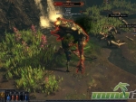 path-of-exile-zoomed-in