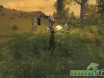 Pathfinder-Online-Fighting