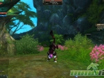 Perfect-World-handstand-1