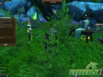 Perfect-World-questing
