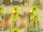pirate-king-online-chbat