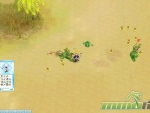 pirate-king-online-developer