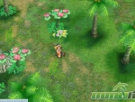 pirate-king-online-flowers