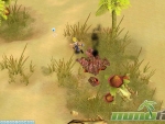pirate-king-online-publishr