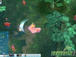 pirate-king-online-video