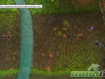 Pirate101-combat