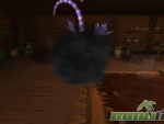 Pirate101-invisible