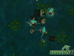 Pirate101-sharks