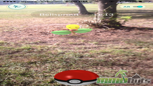 pokemon-go-bellsprout