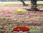 pokemon-go-bellsprout