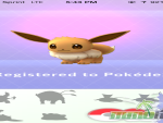 pokemon-go-eevee-caught