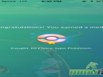 pokemon-go-flying-type