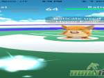 pokemon-go-gym-fight