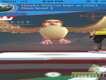 pokemon-go-pidgeot