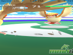pokemon-go-pidgeotto-battle