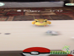 pokemon-go-pidgey-ar