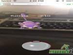 pokemon-go-rattata