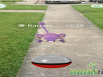 pokemon-go-sidewalk