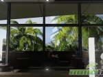 pool-nation-fx-hawaii