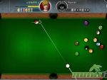 premium-pool-thirteen