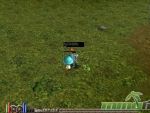 priston-tale-attacking-enemies