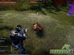 ProjectGenom-young-hound