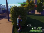 radical-heights-bush
