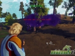 radical-heights-safe-zone