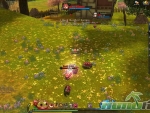 Ragnarok-Online-2-Combat-dmg