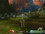 Ragnarok-Online-2-Gravity