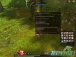Ragnarok-Online-2-Items