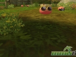 Ragnarok-Online-2-Zoom-Poring
