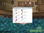 Ragnarok-Online-cosmetic
