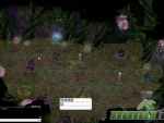 Ragnarok-Online-isometric-graphics