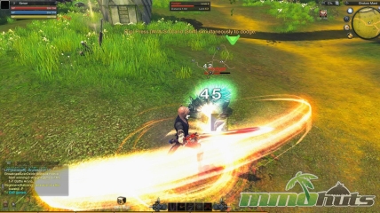 RaiderZ-Swing-Main